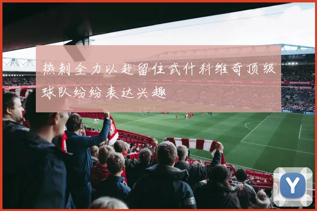 热刺全力以赴留住武什科维奇顶级球队纷纷表达兴趣